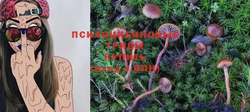 Галлюциногенные грибы Magic Shrooms  даркнет какой сайт  Углич  наркота 